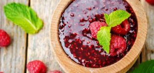 TOP 5 einfache Rezepte für die Zubereitung von Himbeermarmelade in einem Slow Cooker