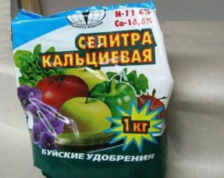 Използването на калциев и амониев нитрат за краставици като горна превръзка