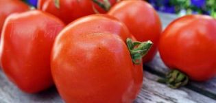 Описание на сорта домат Atol, неговите характеристики и добив
