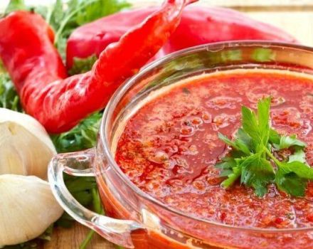 12 สูตรที่ดีที่สุดสำหรับการทำ adjika หวานสำหรับฤดูหนาวจากพริกและมะเขือเทศ