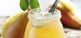 TOP 12 einfache Rezepte für die Herstellung von Birnengelee für den Winter