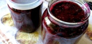 5 recept för att göra vinbärsylt utan att laga mat på vintern