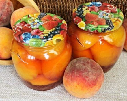 TOP 4 Rezepte für die Herstellung von Pfirsichkonserven in Sirup für den Winter