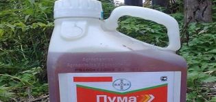 Инструкции за употреба на хербицида Puma Super 100 и нормата на консумация на лекарството