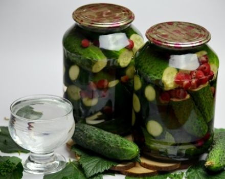 Recipes for pickled cucumbers with basil for the winter