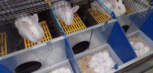 Димензије и цртежи краљичке ћелије за зечеве и како то сами урадити