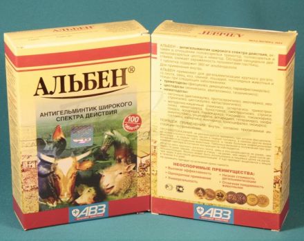 Paršelio „Albena“ vartojimo ir sudėties instrukcijos, kontraindikacijos ir analogai