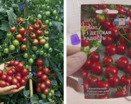 Описание на сорта домати Детската радост и неговите характеристики