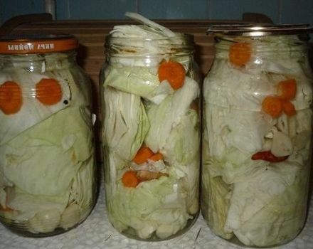 TOP 15 receitas para preparar em branco de repolho branco para o inverno