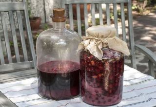 7 PRINCIPAIS receitas simples para fazer vinho com geléia em casa