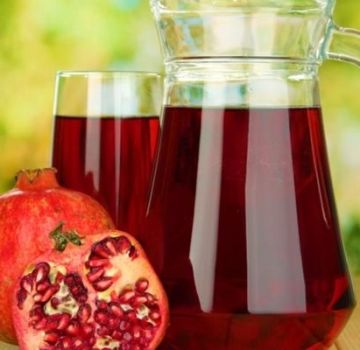 9 bästa hemlagade granatäpplekompottrecept