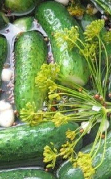 ТОП 11 рецепата за слане краставце са хреновим листовима и белим луком