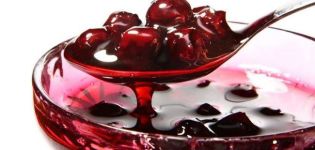 8 köstliche Rezepte für entkernte Kirschmarmelade Fünf Minuten für den Winter