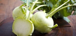 Dyrkning og pleje af Kohlrabi kål i det åbne felt
