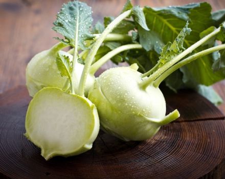 Pestovanie a starostlivosť o kapusta Kohlrabi na otvorenom poli