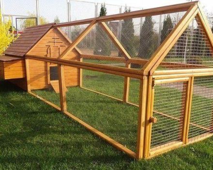 Cách xây chuồng gà cho 20 con gà bằng chính tay bạn, kích thước và bản vẽ