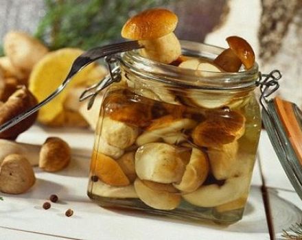 Einfache Rezepte zum Salzen von Steinpilzen für den Winter zu Hause