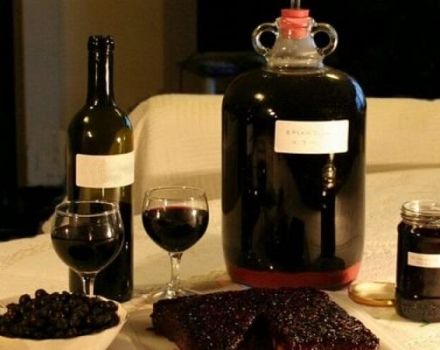 11 enkla recept för att göra vin från irgi hemma