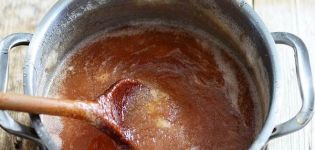 A melhor receita para fazer geléia de maçã com limão para o inverno