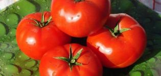 Opis odmiany pomidora Druzhok i jego właściwości