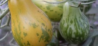 Beschreibung der Tomatensorte Michael Pollan, Merkmale des Anbaus und der Pflege