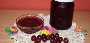 TOP 9 recetas para hacer mermelada de grosella espinosa real para el invierno