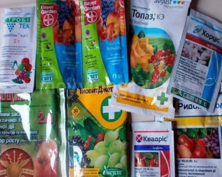 Упутство за употребу, пропорције и услови за прераду грожђа с фунгицидом Скор