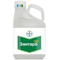 Návod k použití a složení fungicidu Zantar, dávkování a analogů