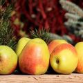 Description of apple variety Rossoshanskoe Vkusnoe (Amazing), cultivation and care