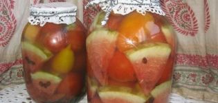 6 best recipes for cooking tomatoes with watermelon for the winter without sterilization