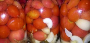 Recipes for pickling tomatoes with apple cider vinegar for the winter