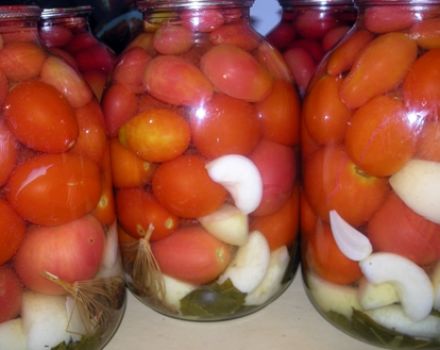Rezepte zum Einlegen von Tomaten mit Apfelessig für den Winter