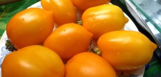 Características e descrição da variedade de tomate Maravilha do Mundo, seu rendimento
