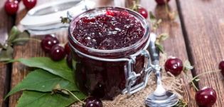 TOP 8 receitas para fazer geléia de cereja com sementes para o inverno