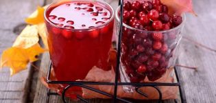 6 enkla recept för att göra lingonberryvin hemma