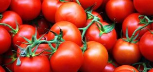 Eigenschaften und Beschreibung der Irishka-Tomatensorte, deren Ertrag