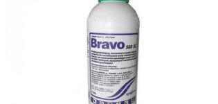 Инструкции за употреба на фунгицид Bravo, състав и форма на освобождаване на продукта