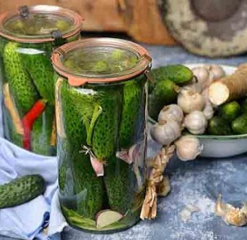 Loại dưa chuột nào thích hợp nhất để đóng hộp và ngâm chua, tên