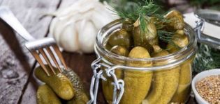 A simple step-by-step recipe for lightly salted cucumbers without vinegar for the winter