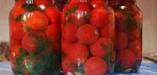 6 стъпка по стъпка рецепти за кисели домати с чесън вътре домат за зимата