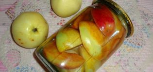 8 besten Rezepte für die Herstellung von Äpfeln in Sirup für den Winter