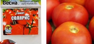Beskrivelse av Solaris-tomatvarianten, kultiveringsfunksjoner