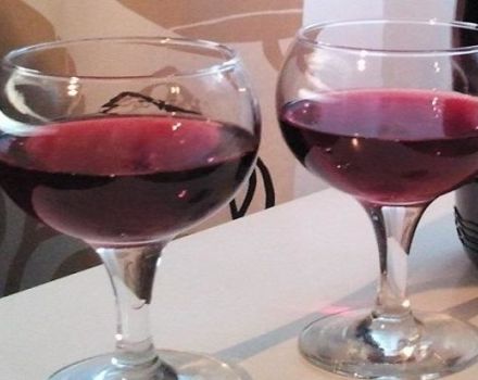 2 receitas para fazer vinho com bagaço de uva em casa