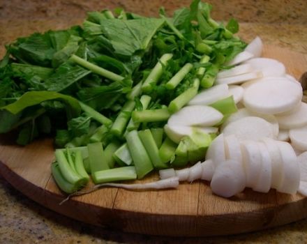 Användbara egenskaper och kontraindikationer av daikon rädisa för människokroppen