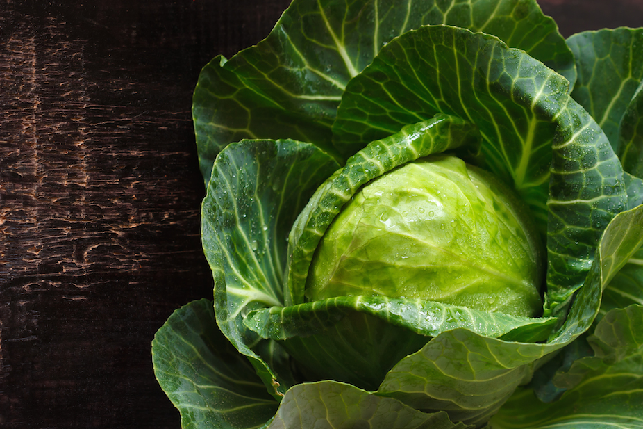 cabbage