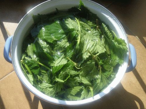 borrifar infusão