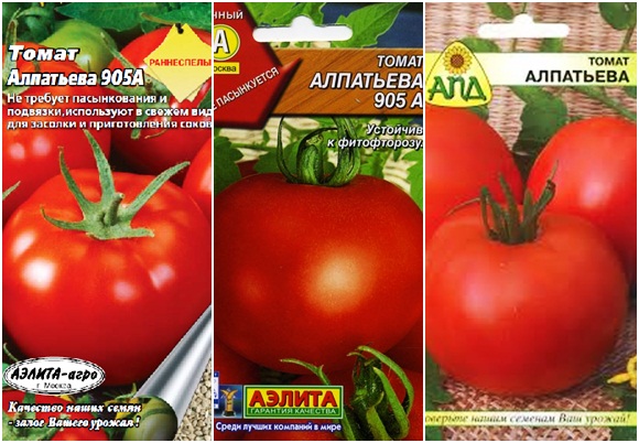 بذور الطماطم alpatiev