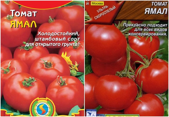 семена от домати ямал
