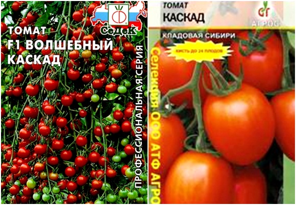 семена каскада