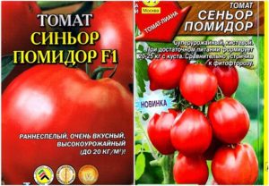 Характеристики и описание на сорта домат домат Signor
